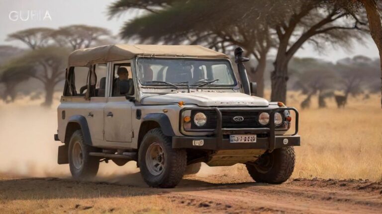 Safari Fotográfico: Guia Definitivo para Fotografar na África